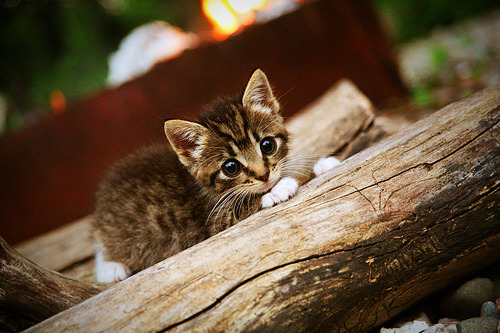 九游游戏中心-体育新闻中心启动年度运营规划,体育新闻工作