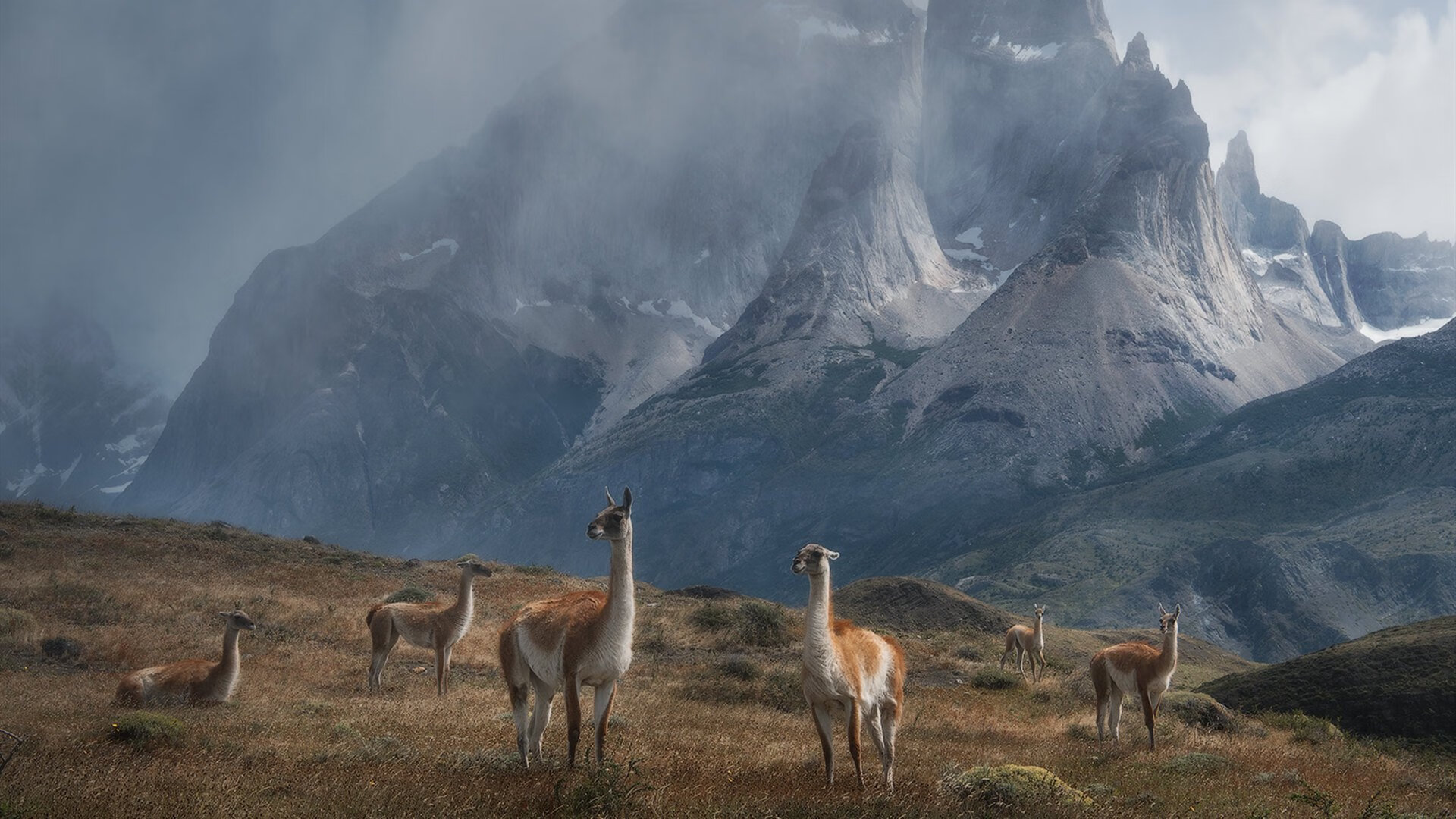 九游网页版官网入口-加拿大队在国际乒联混合团体世界杯中的出色技术与团队表现，加拿大乒乓球混双名单