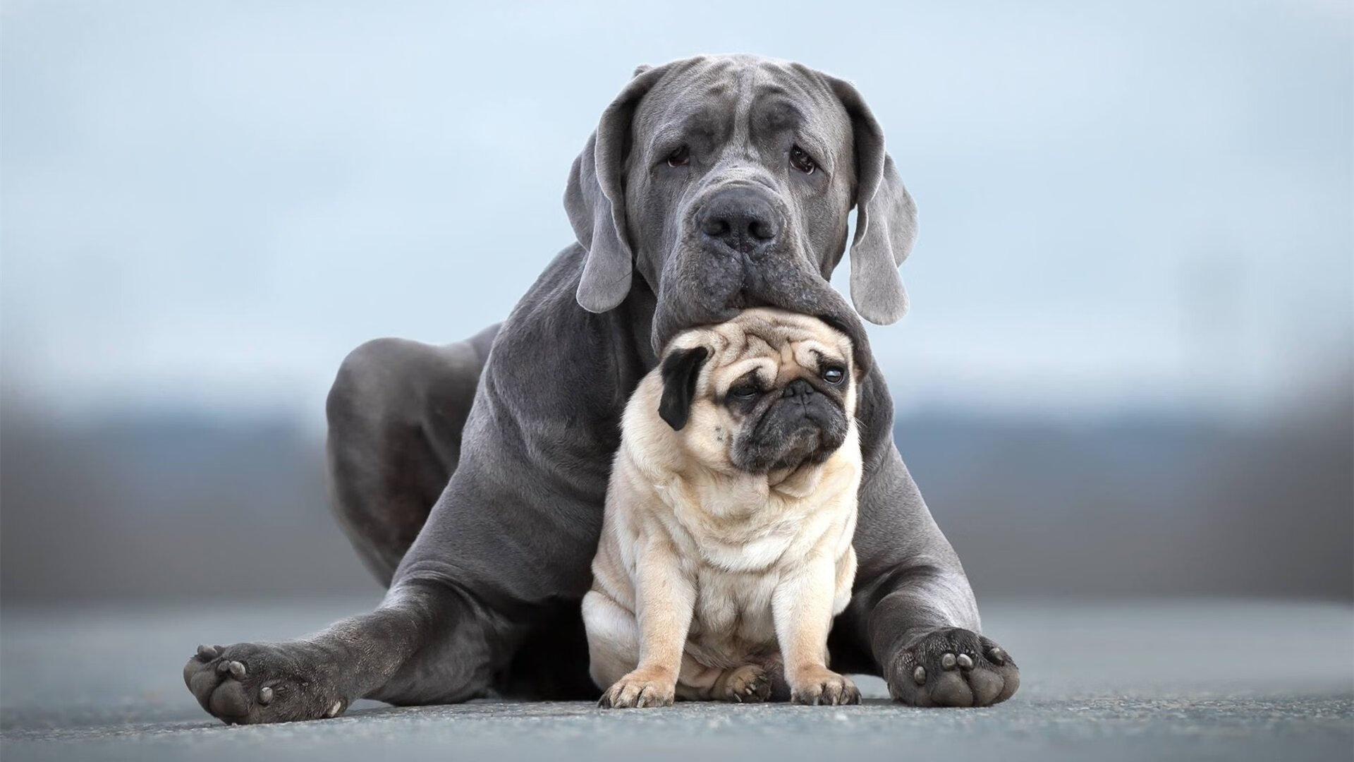 九游娱乐官网 (JIUYOU)-奥预赛中国青年队迎战 球迷现场气氛热烈，中国国家青奥队