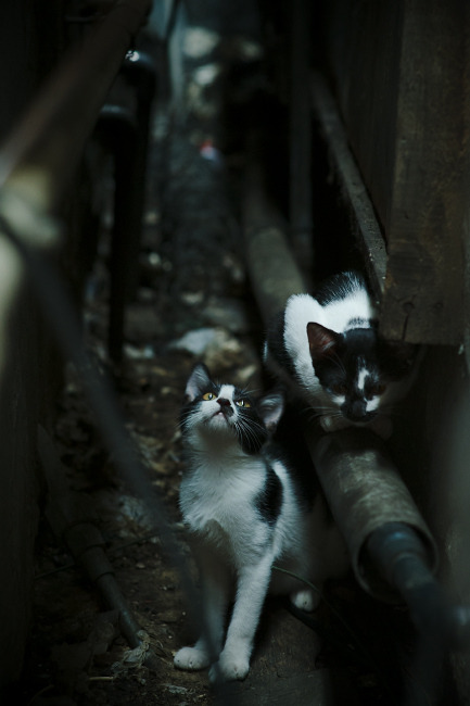 九游app官网下载-运动科技创新引领训练智能化时代，运动技术创新的重要意义