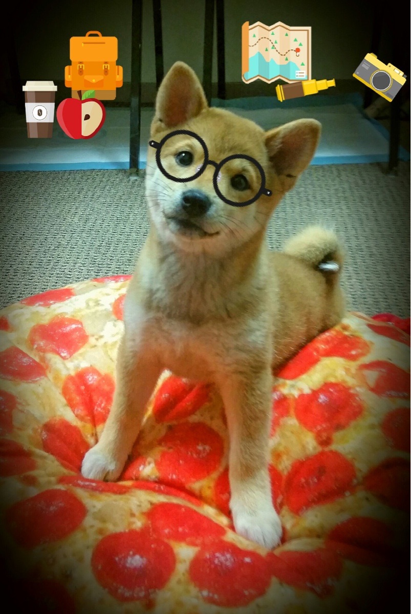 九游登录入口-“阿根廷美洲狮队用实力证明了自身的世界级地位”