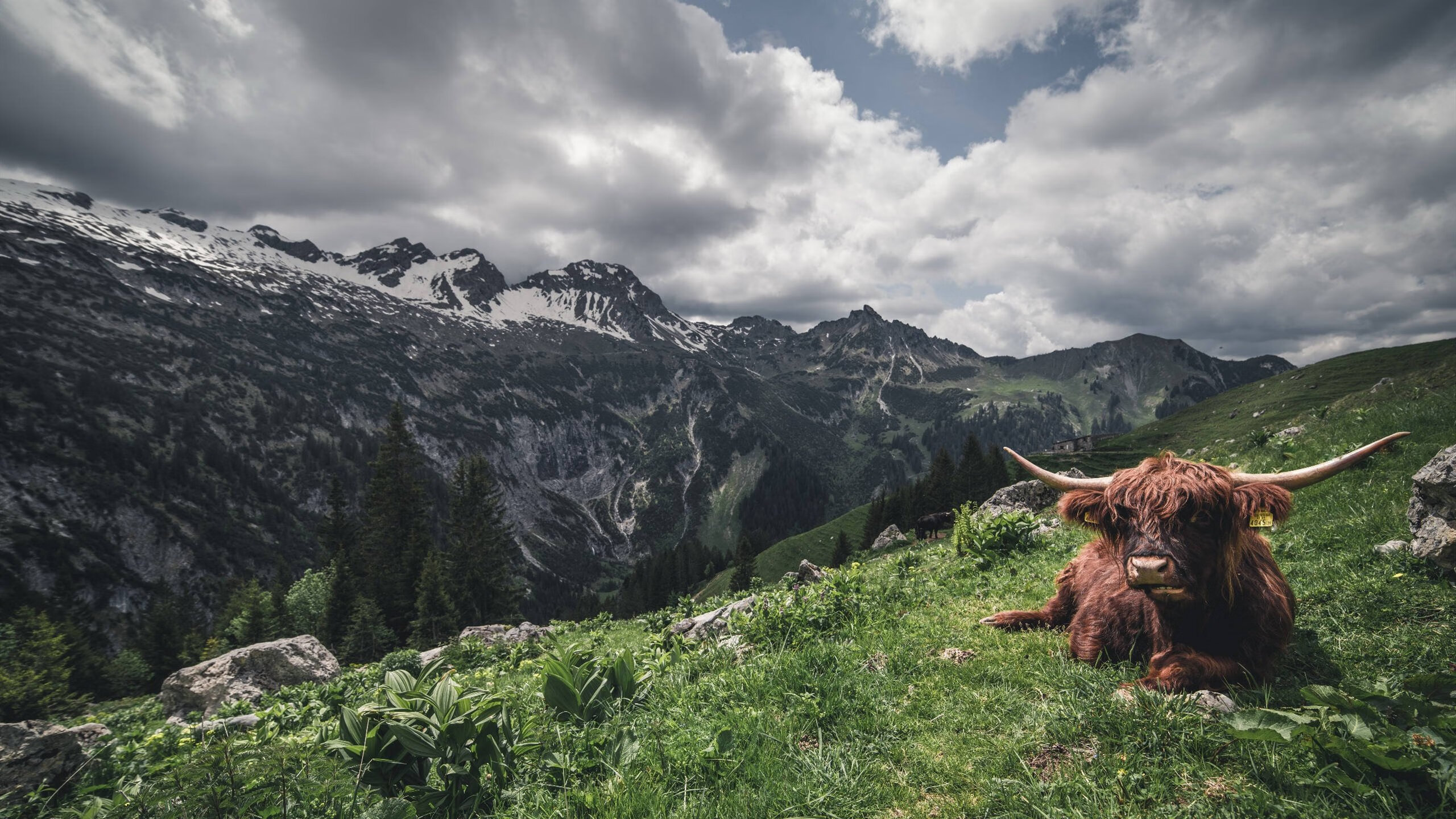九游jiuyou-乌干达女篮在非洲锦标赛中表现优异,迈向国际舞台,非洲乌干达来