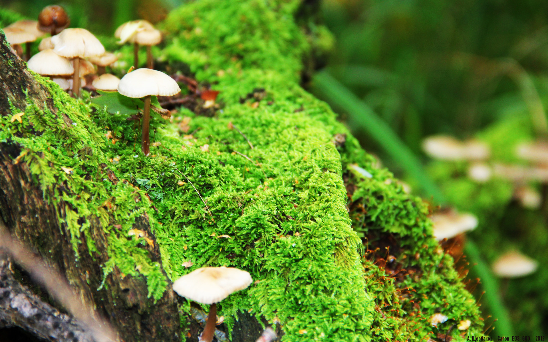 九游（jiuyou.com）游戏-新闻中心通告体育保险覆盖范围调整说明，体育保险公司