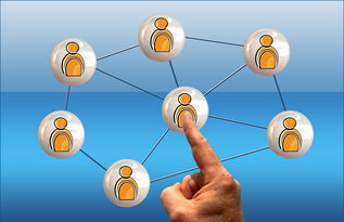 九游下载安装-职业球员互动节目越来越多提升篮球社会影响力,职业球员日常