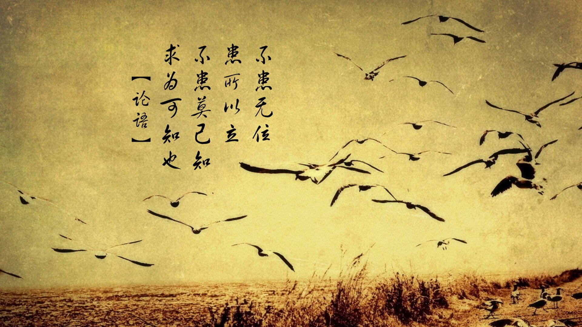 九游娱乐官网 (JIUYOU)-胡贝特·科斯后程爆发力震撼全场,胡安·贝坦科特现状