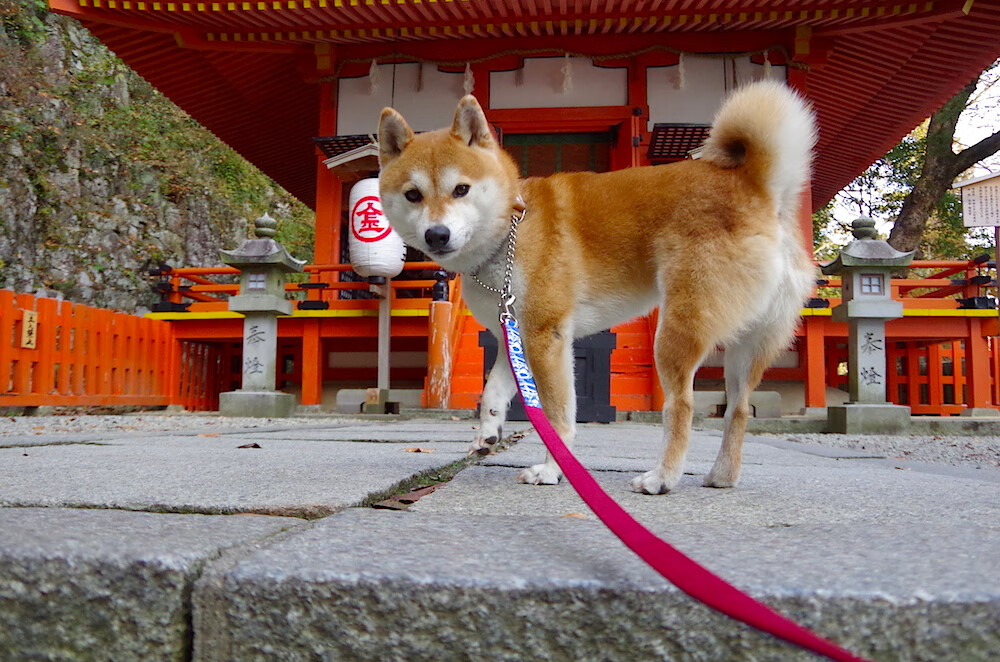 九游娱乐官网 (jiuyou)-训练营中引入数据化评分激发球员提升自我主动性,训练数据怎么得到